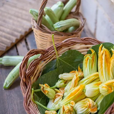 Masseria Le Lamie Villa Castelli